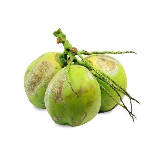 Coco Verde Unidade