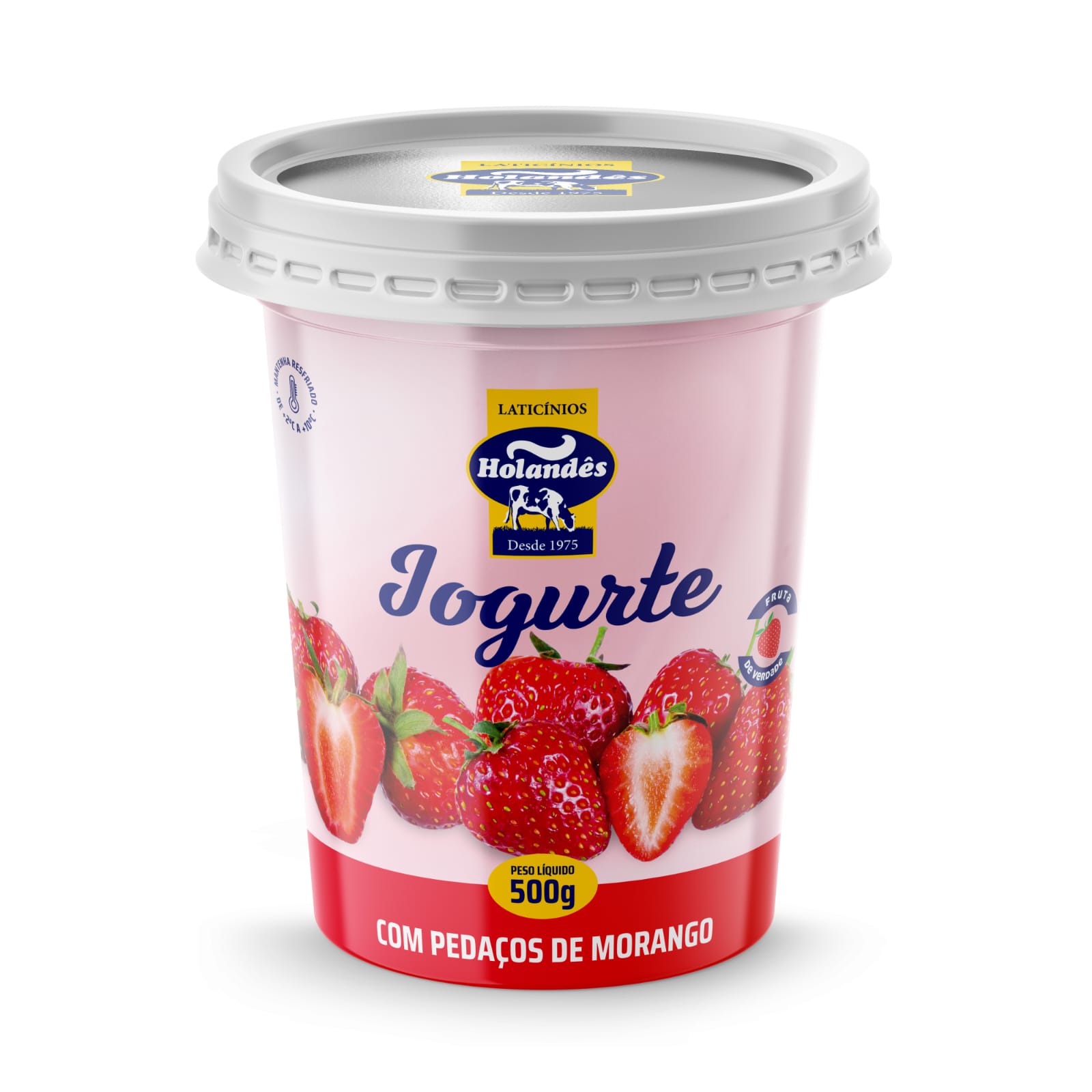 Iogurte HOLANDÊS Com Pedaços de Morango 500g